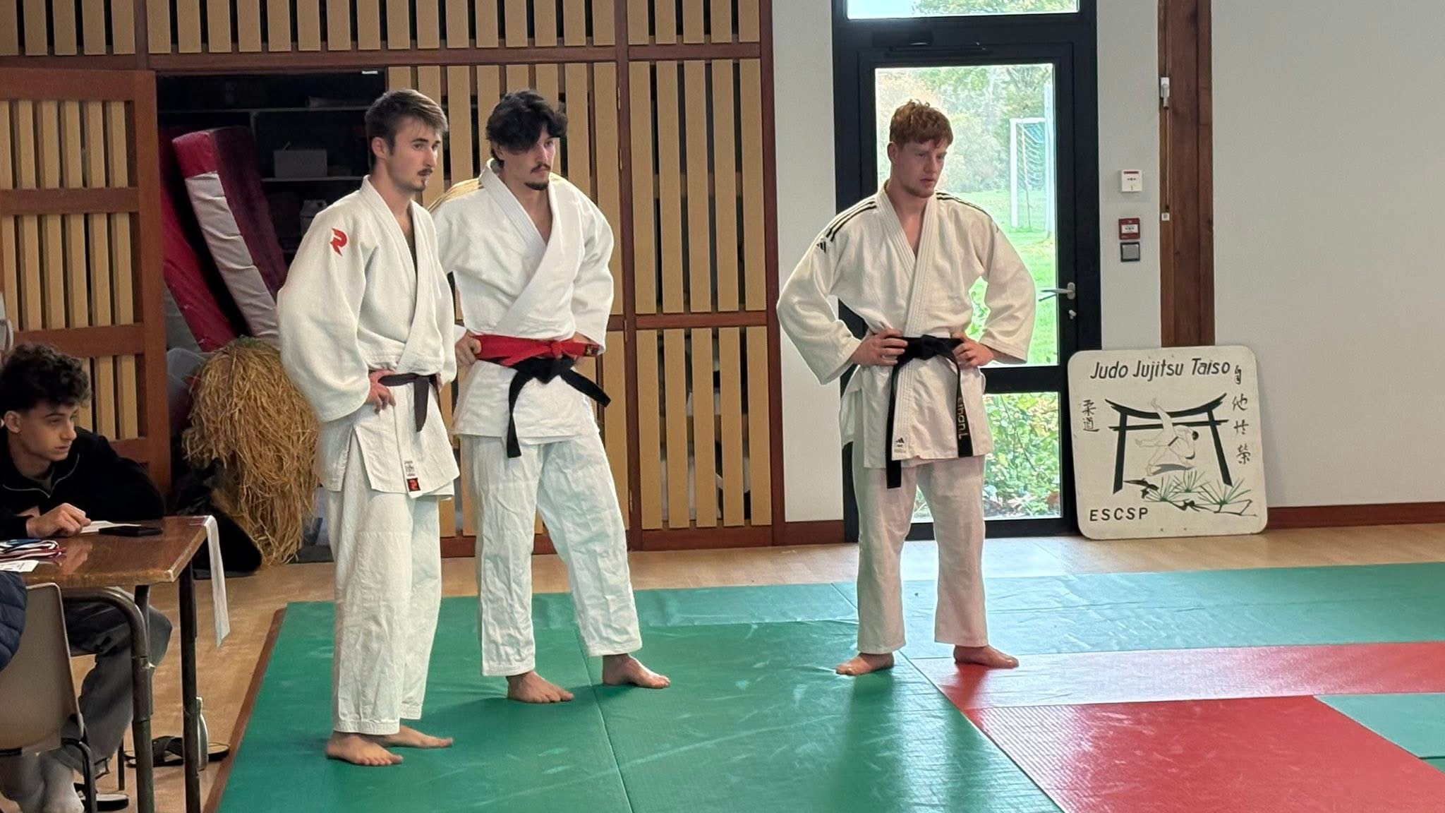 Cours Judo Adultes
