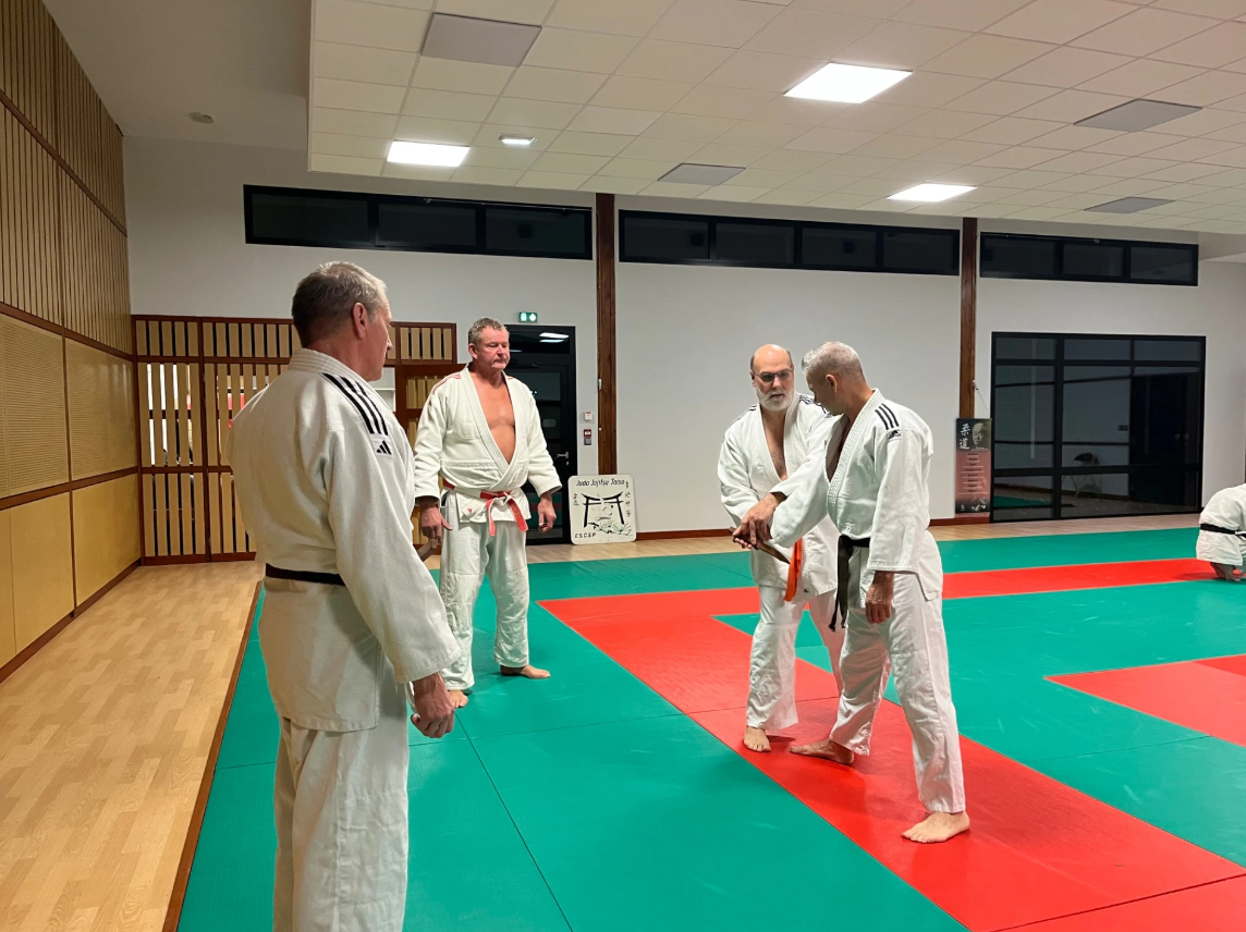 Cours Jujitsu